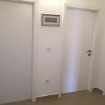Apartment Rube *